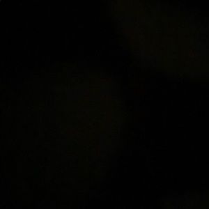 Meet your Posher, Rayven